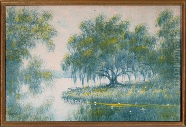 Lone Oak, Louisiana Bayou - view 1