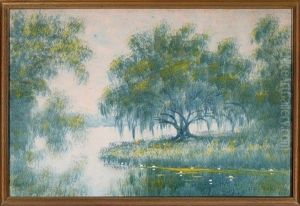 Lone Oak, Louisiana Bayou by Alexander John Drysdale