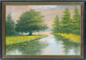 Cypress Trees And Lone Live Oak Tree, Louisiana Bayou by Alexander John Drysdale