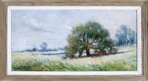 Lone Live Oak Tree by Alexander John Drysdale