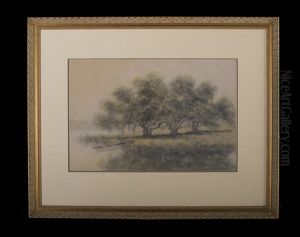 Canoe And Cypress Trees