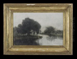 Bayou At Dusk