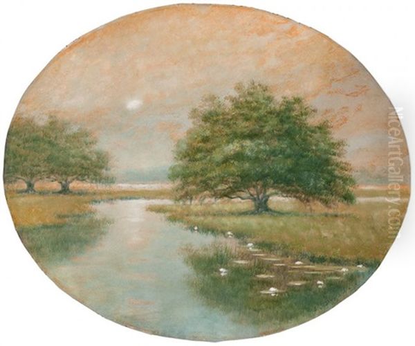 Live Oak Trees In The Louisiana Bayou - view 1
