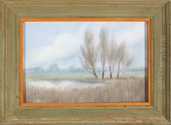 Willow Trees In The Marshes - Morning - view 1