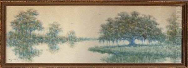Louisiana Live Oak Tree On The Bayou - view 1