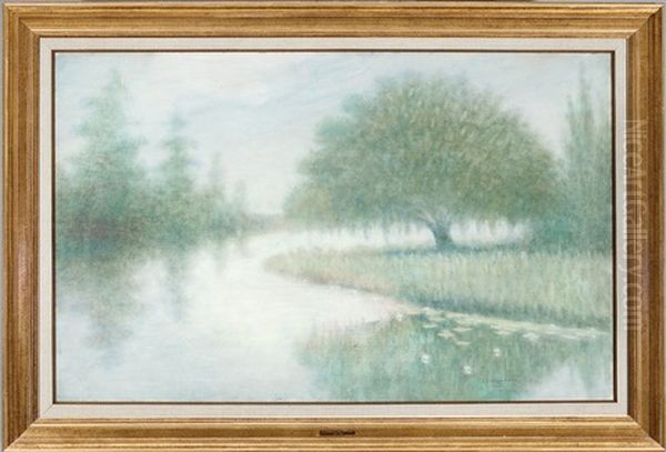 Expansive Louisiana Bayou Scene - view 1