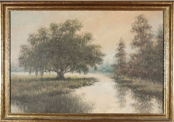 Live Oak In The Louisiana Bayou - view 1
