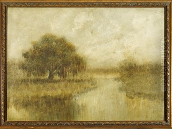 Louisiana Live Oak - view 1