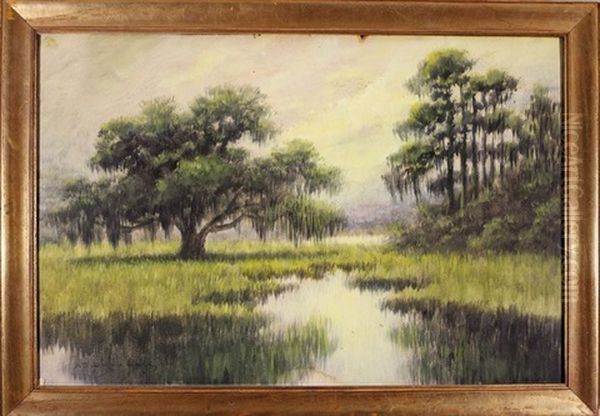Live Oak Trees, Louisiana Bayou - view 1