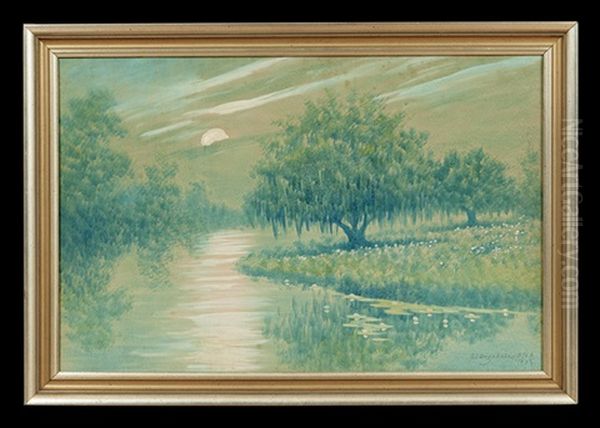 Louisiana Bayou Landscape At Moonlight - view 1