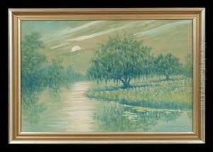 Louisiana Bayou Landscape At Moonlight