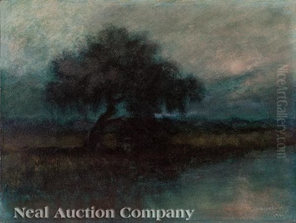 Tonalist Louisiana Bayou Landscape - view 1