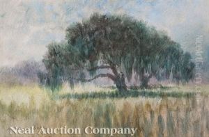 Live Oak by Alexander John Drysdale