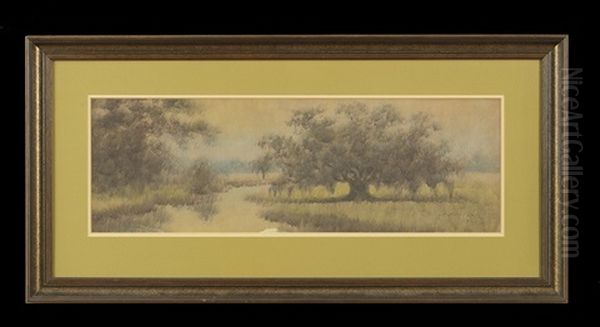 Bayou Landscape With A Live Oak - view 1