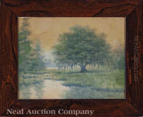Live Oak, Louisiana - view 1