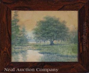 Live Oak, Louisiana by Alexander John Drysdale