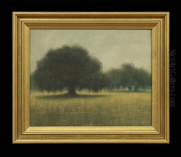 Louisiana Landscape With Moss-draped Oak Trees - view 1