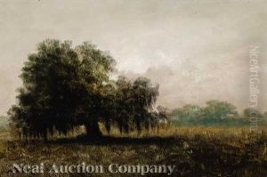 Early Morning In Lafourche Country by Alexander John Drysdale