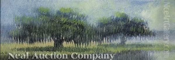 Louisiana Landscape With Live Oak Trees - view 1