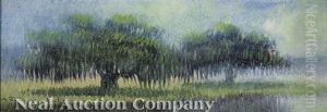 Louisiana Landscape With Live Oak Trees by Alexander John Drysdale