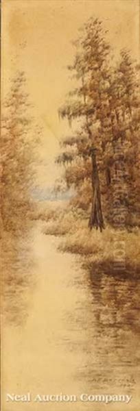 Cypress Trees, Louisiana Bayou - view 1