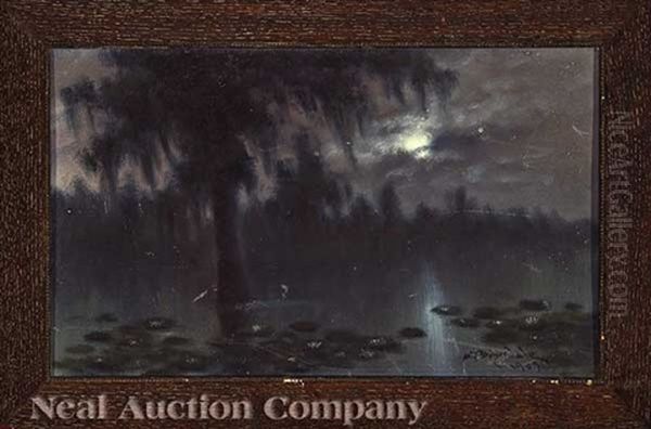 Moonlit Bayou With Lilypads - view 1