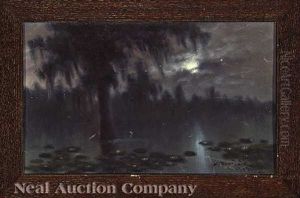 Moonlit Bayou With Lilypads by Alexander John Drysdale