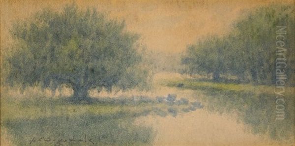 Live Oaks, Louisiana Bayou - view 1