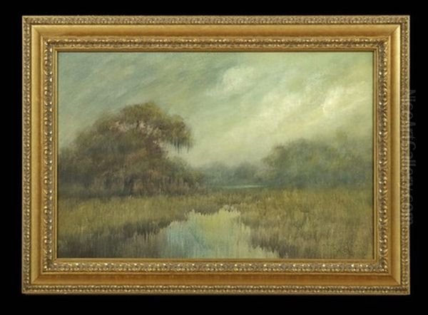 Louisiana Bayou Landscape At Dusk - view 1