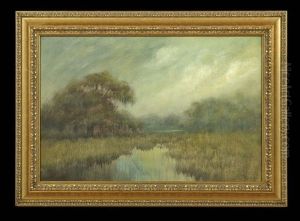 Louisiana Bayou Landscape At Dusk