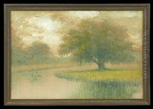 Louisiana Bayou, Dawn by Alexander John Drysdale