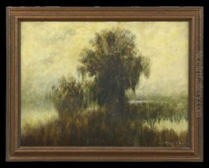 Louisiana Bayour At Sunset by Alexander John Drysdale