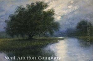 Louisiana Landscape With Sun Reflecting On The Bayou
