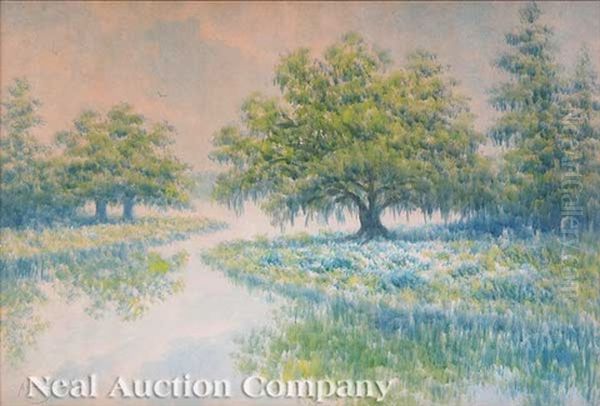 Live Oaks, Louisiana Bayou - view 1