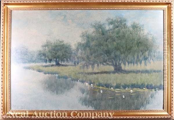Bayou Scene With Lily Pads - view 1