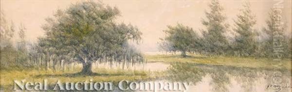 Louisiana Bayou With Live Oaks - view 1