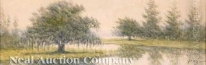 Louisiana Bayou With Live Oaks