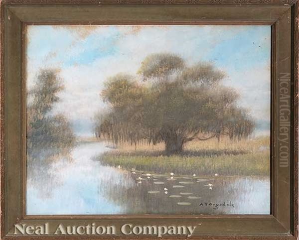 Live Oak, Louisiana Bayou - view 1