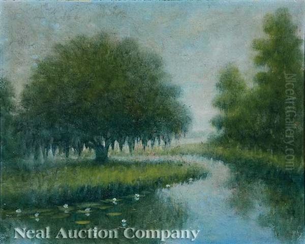 Bayou Teche, Louisiana - view 1