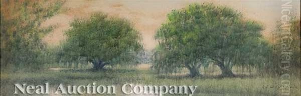 Live Oaks On The Bayou - view 1