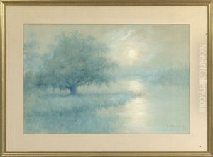 Moonlit Bayou Landscape