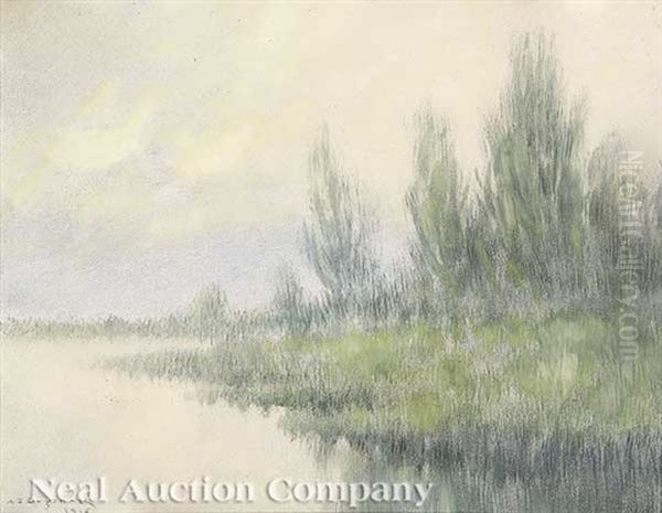 Afternoon, Louisiana Swamp - view 1