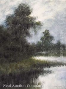 Cypress Trees On A Bayou by Alexander John Drysdale