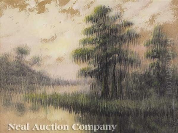Live Oaks In The Louisiana Bayou - view 1