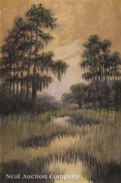 Cypress Trees In The Louisiana Bayou - view 1