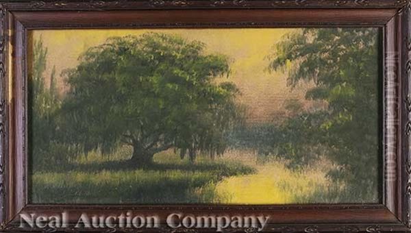 Louisiana Live Oak - view 1