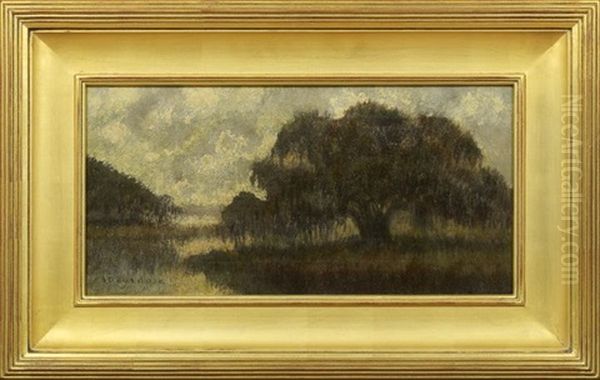 Oak Trees Along The Bayou - view 1