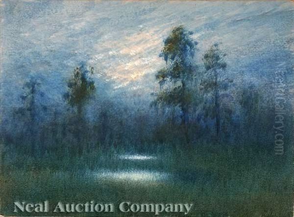 The Mystery Of The Twilight In The Louisiana Swamp - view 1