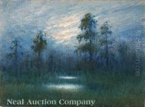 The Mystery Of The Twilight In The Louisiana Swamp by Alexander John Drysdale
