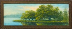 Sunlit View Of Oak And Cypress Tress Along The Louisiana Bayou by Alexander John Drysdale